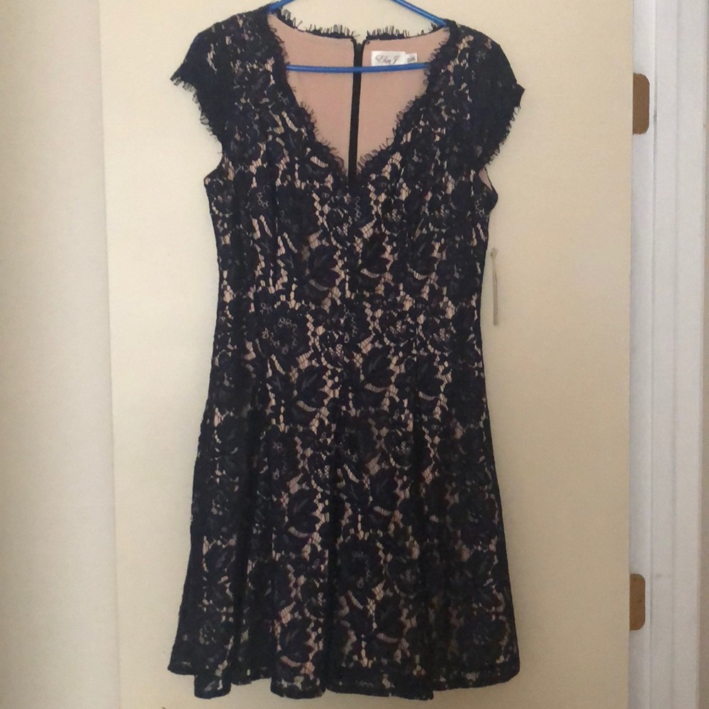 Eliza J Navy Blue & Beige Lace Dress
